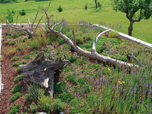 Green roof with dead wood